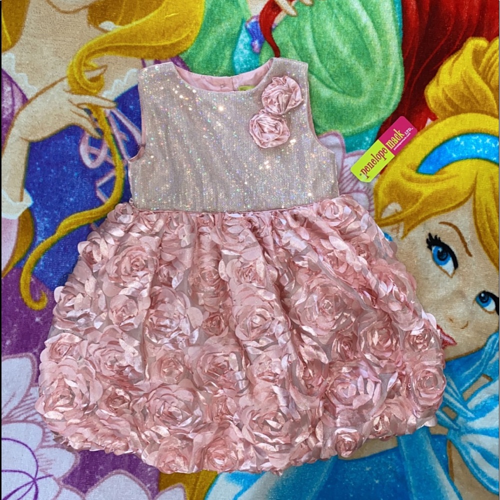 NWT ROSE DRESS 🌹 - Picture 2 of 5